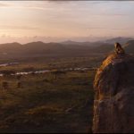The-Lion-King-2019-08