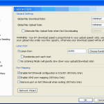 BitComet_en_options