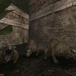 Gothic-II-Night-of-the-Raven-10