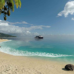 Transport-Fever-2-13