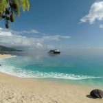 Transport-Fever-2-13