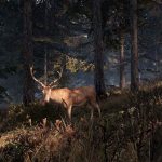 This-Land-Is-My-Land-08