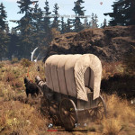 This-Land-Is-My-Land-13