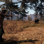 This-Land-Is-My-Land-14