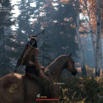 This-Land-Is-My-Land-20