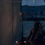 This-Land-Is-My-Land-21