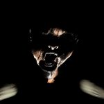 Emily-Wants-To-Play-Too-03