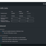Free Download Manager-08