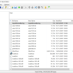 EF_Multi_File_Renamer-2