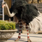Dolittle-3