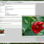 Deeproot_Plant_Base1