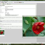 Deeproot_Plant_Base1