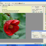 Deeproot_Plant_Base10