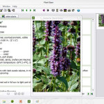Deeproot_Plant_Base5