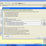 Deeproot_Plant_Base7