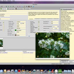 Deeproot_Plant_Base9