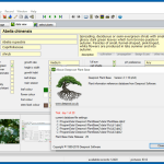 Deeprot_Plant_Base-3