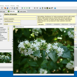 Deeprot_Plant_Base-8