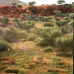 Hunting-Simulator-2-02