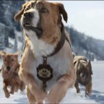 The-Call-of-the-Wild-06