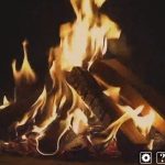 Click and Relaxt-11