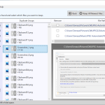 Duplicate-Sweeper-12