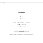 Duplicate-Sweeper-15