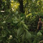 The-Divergent-Series_-Allegiant-001