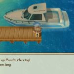 STORY-OF-SEASONS-Friends-of-Mineral-Town-010