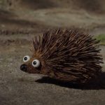 Shaun-the-Sheep-Movie-010