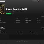 Spotify-10