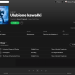 Spotify-12