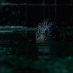 The-Shape-of-Water-002