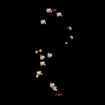 After Dark Classic Set-7