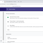 Avast_Secure_Browser-8
