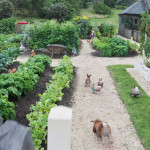 Peter-Rabbit-2-The-Runaway-003