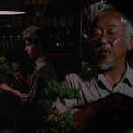 The-Karate-Kid-1984-006