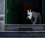 The-Adventures-of-TinTin-08