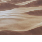 The-Adventures-of-TinTin-12