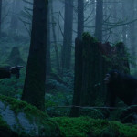 Dawn-of-the-Planet-of-the-Apes-07