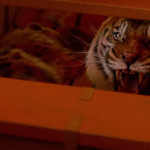 Life-of-Pi-05