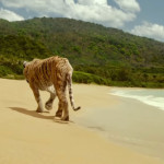 Life-of-Pi-09