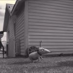 Frankenweenie-07