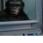 Rise-of-the-Planet-of-the-Apes-02