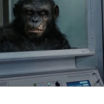 Rise-of-the-Planet-of-the-Apes-02