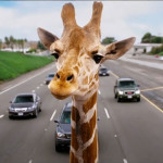 The-Hangover-Part-III-11