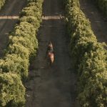 Avicii—Wake-Me-Up-09