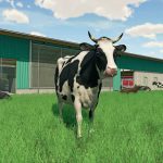 Farming-Simulator-22-05