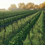 Farming-Simulator-22-06