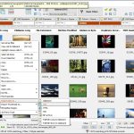 SMF-Search-My-Files-06